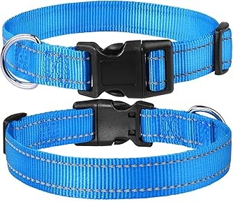 A gray and black medium-sized carrier for dogs (an Amazon product)
