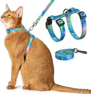 A colorful, hawaii-green leash and harness on an orange cat