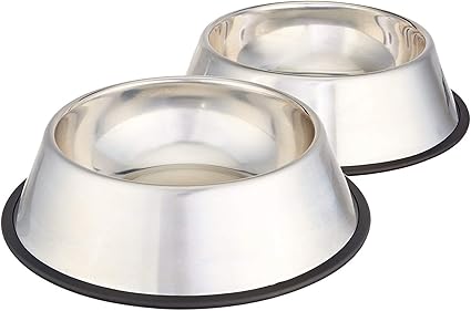 Two stainless steel dog bowls (an Amazon product)