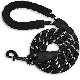 A black, clip-on dog leash with gray stripes (an Amazon product)